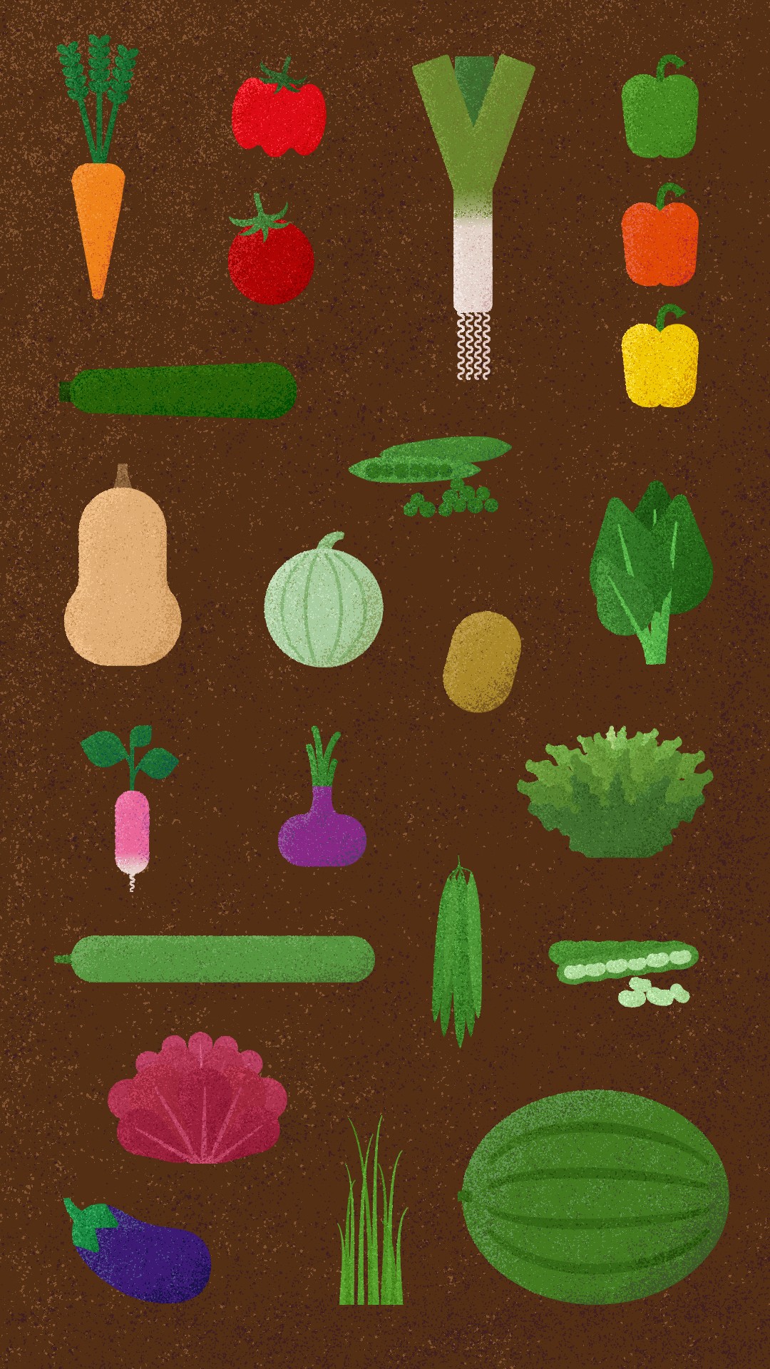 Illustrations des légumes