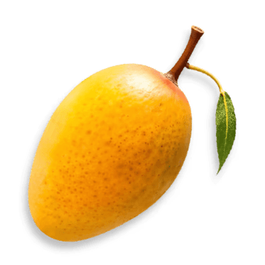 มะม่วงอบแห้ง Dried Mangoes พรีเมียม dried fruits in thailand