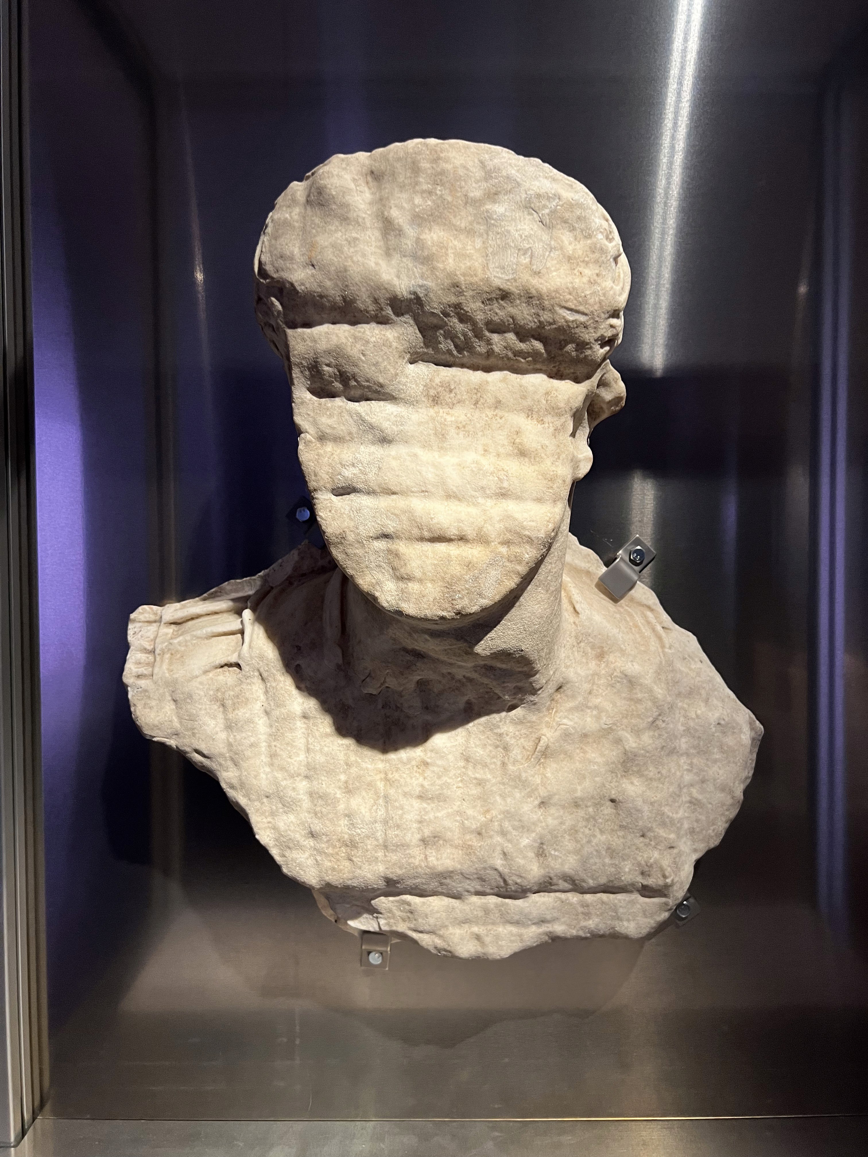 Close-up of lush, dark green leaves, some glossy and wet, against a muted background.