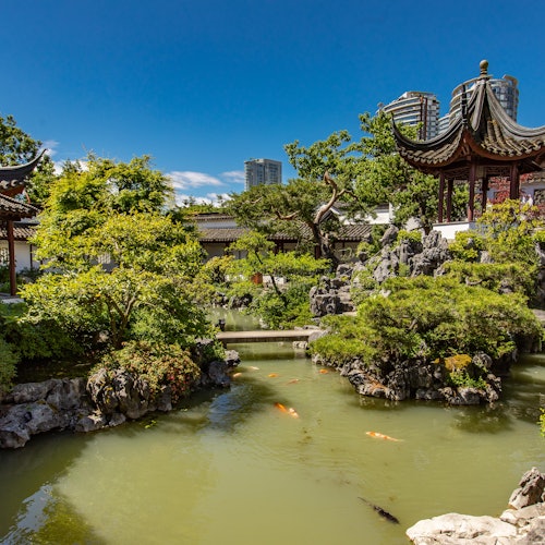 Giardino asiatico tradizionale con stagno di koi, pagode, rigoglioso verde e edifici cittadini sullo sfondo sotto un cielo azzurro limpido.