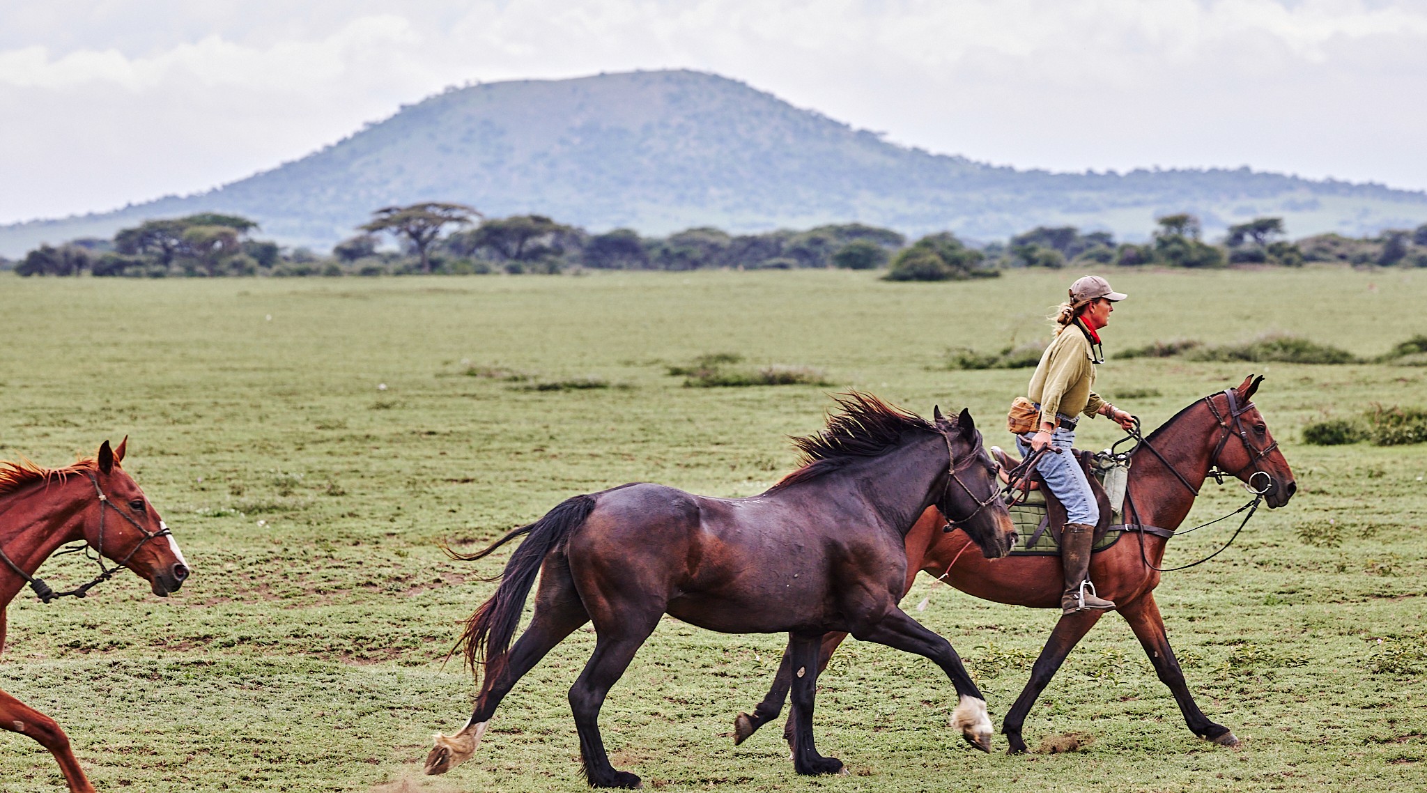 Grupp av ryttare på ridresa i Afrika galopperar över Serengetis vidsträckta slätter medan damm och gnuhjordar rör sig över horisonten under the great migration.
