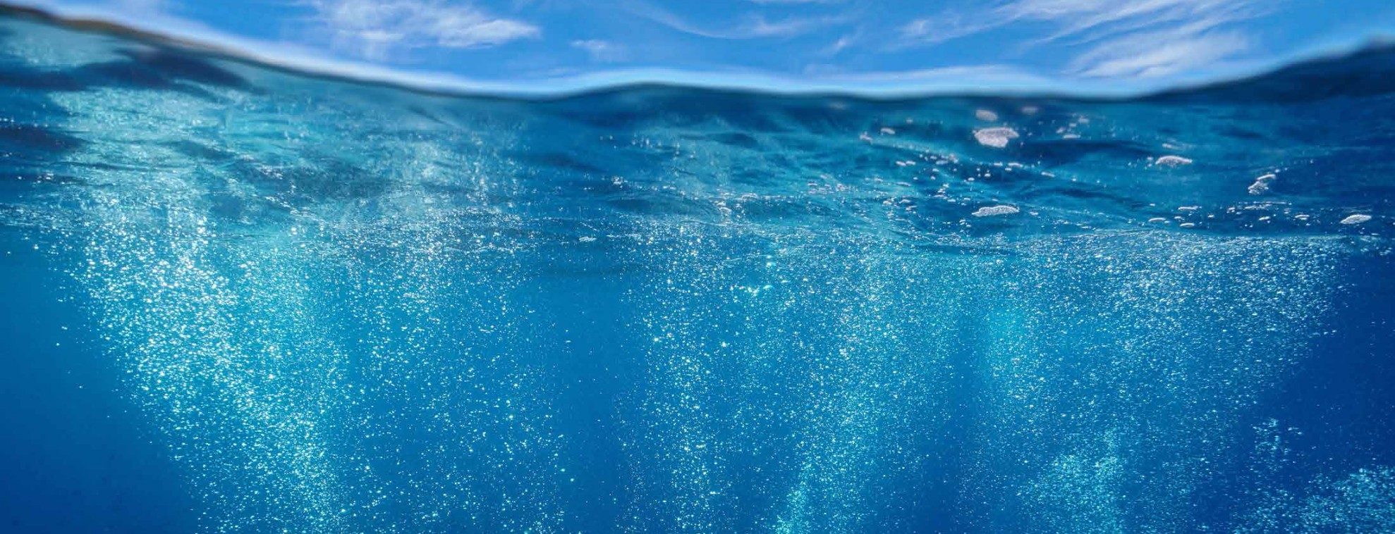 Clear blue water with sunlight filtering through, creating a serene underwater scene.