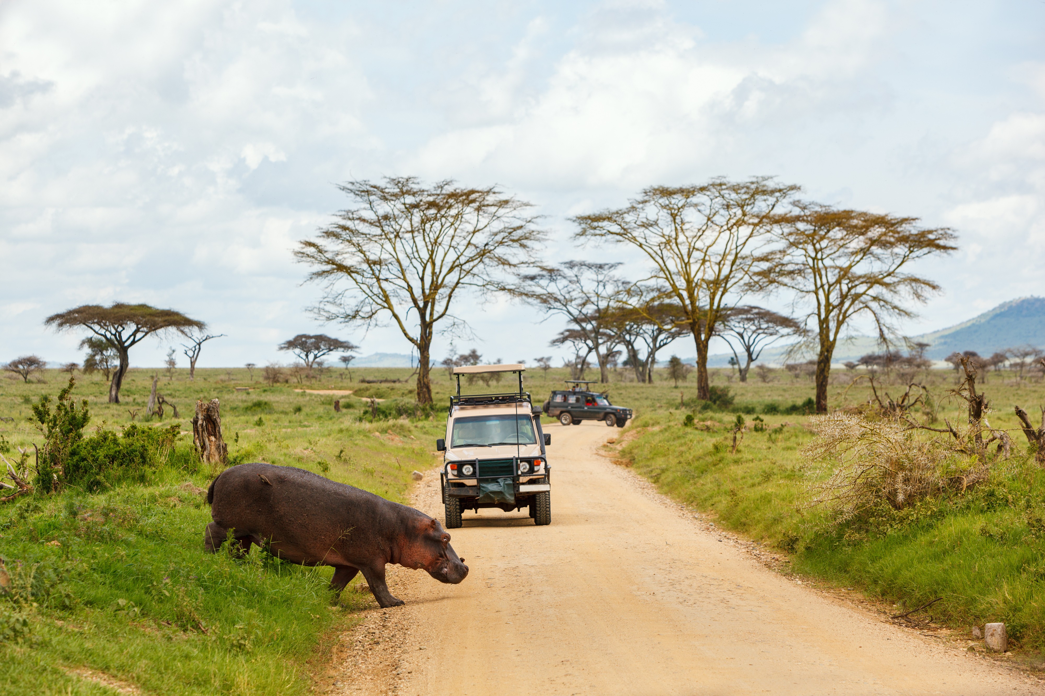 Serengeti