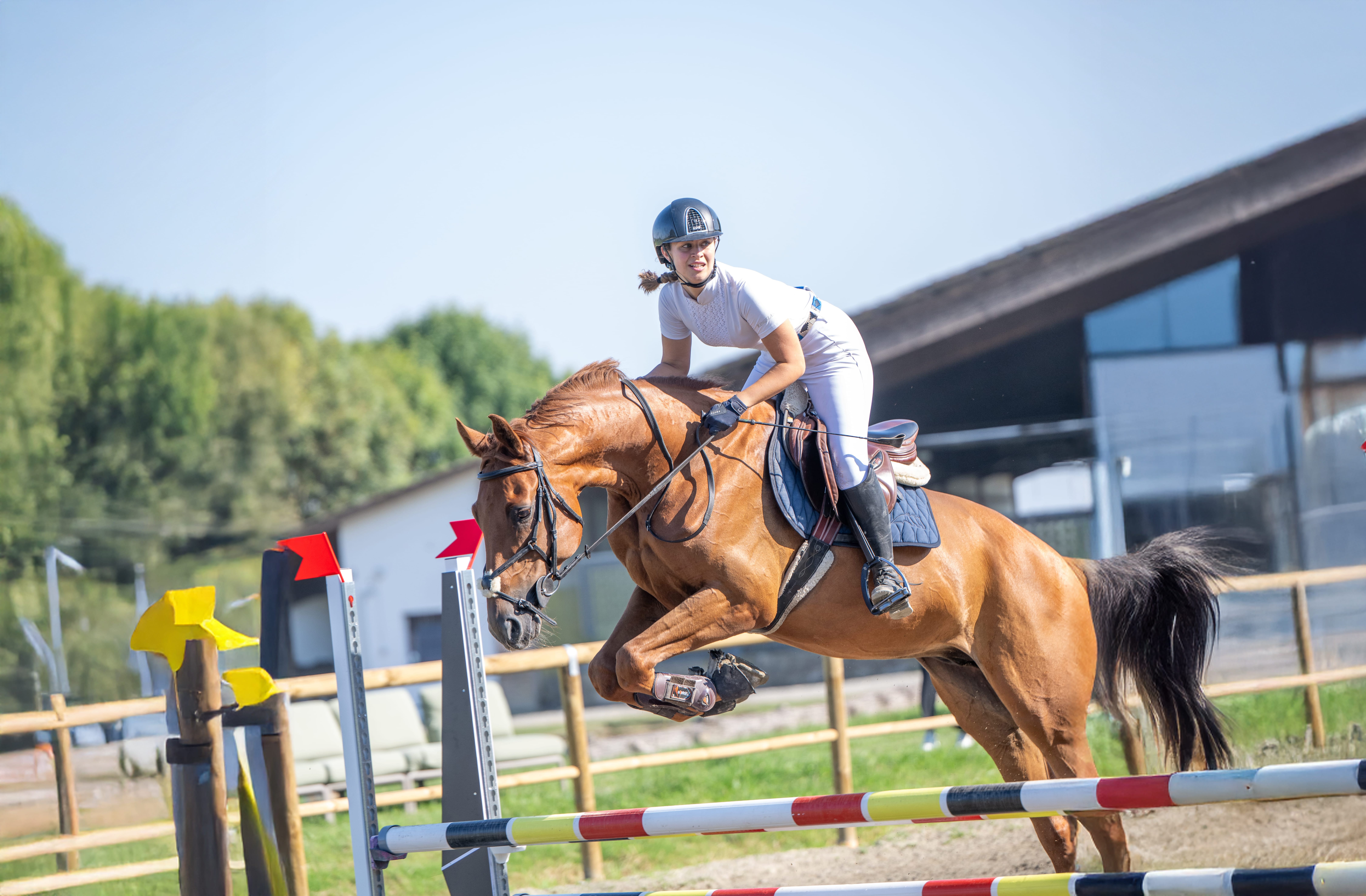 Brown suede tufted sofa cushion with button detailing in warm interior lighting.
