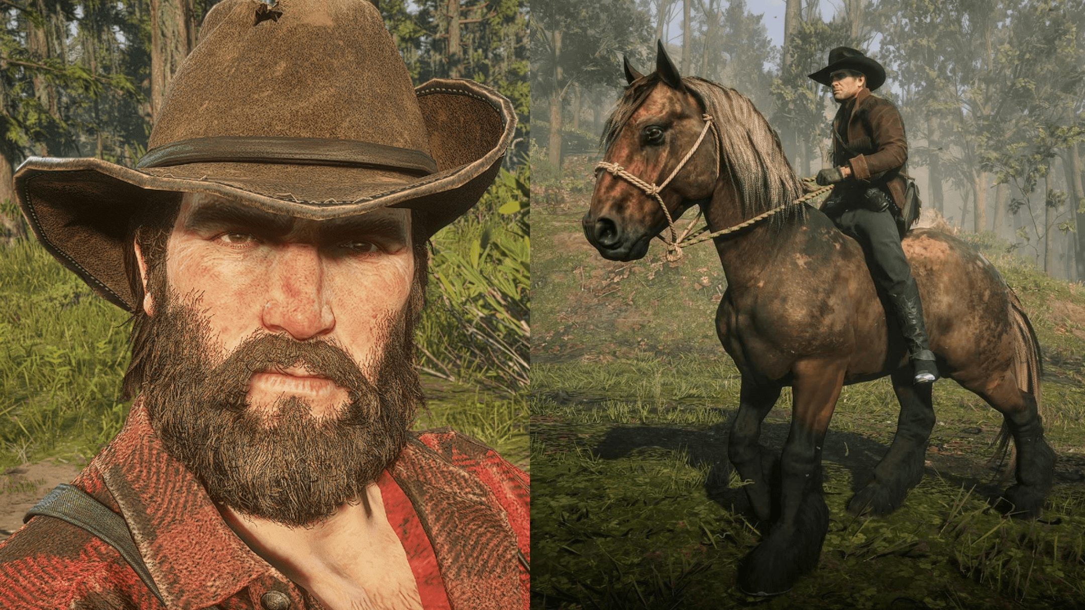 Van der Linde gang horses, best RDR2 horses, RDR2 horse guide, RDR2 gang horses, RDR2 Van der Linde horses, best horses in Red Dead Redemption 2, RDR2 best horse comparison, RDR2 Micah horse Baylock, RDR2 Dutch horse The Count, RDR2 Hosea horse Silver Dollar, RDR2 Bill horse Brown Jack, Missouri Fox Trotter RDR2, Arabian horse RDR2, Turkoman horse RDR2, Ardennes horse RDR2, strongest horses in RDR2, fastest horses in RDR2, RDR2 horse breeds explained, RDR2 horse stats, RDR2 best companion horses, RDR2 horse ranking, RDR2 best gang member horse, Red Dead Redemption 2 horse list, RDR2 story horses, RDR2 horse personalities, RDR2 rare horses, RDR2 horse analysis, RDR2 horse performance, RDR2 horse speed comparison, RDR2 war horses, RDR2 elite horses, RDR2 horse lovers guide, who has the best horse in RDR2, Van der Linde gang best horse, RDR2 cinematic horses, RDR2 lore horses, RDR2 horse fan guide, RDR2 top horses, RDR2 horse tier list, RDR2 iconic horses