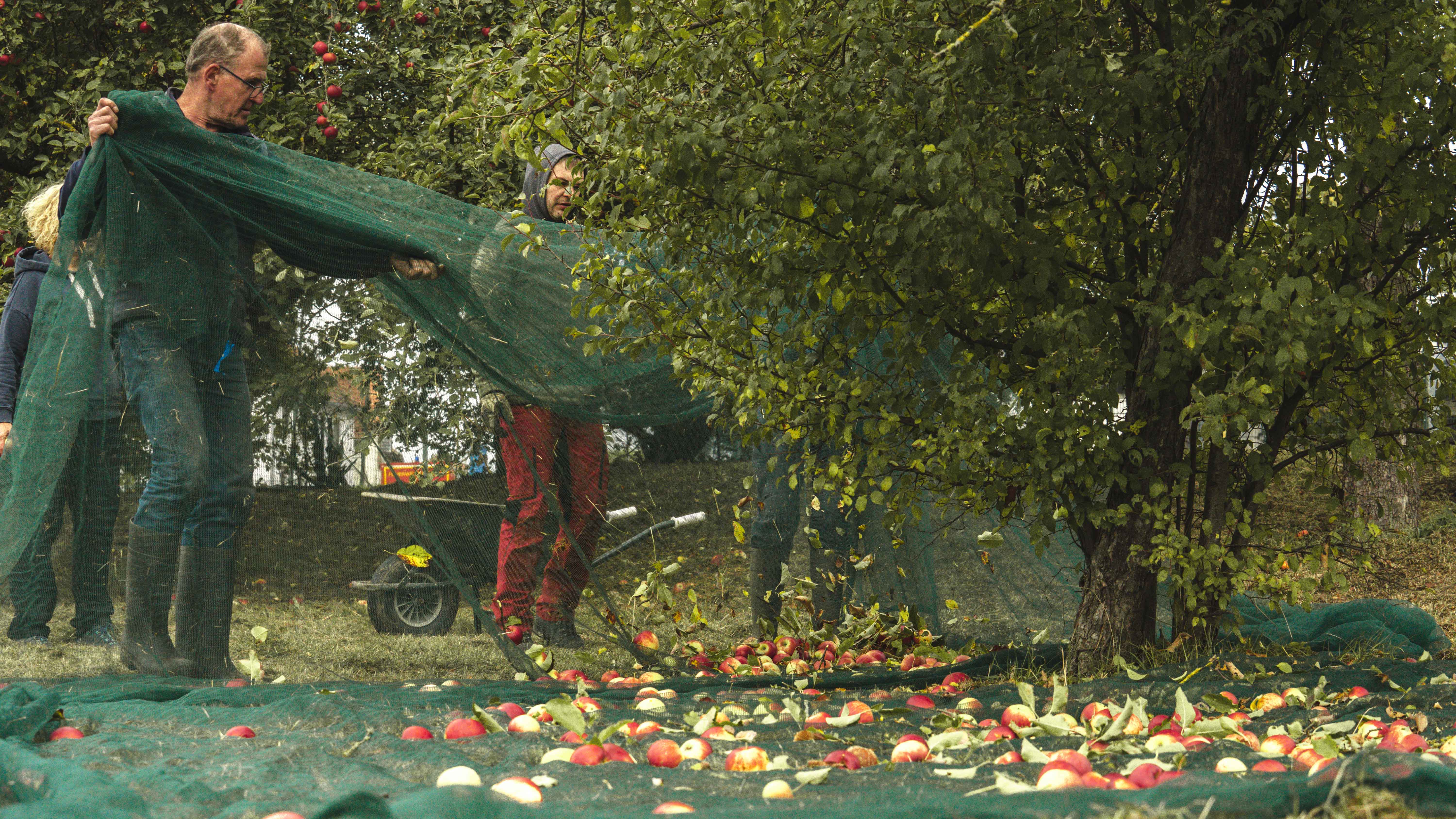 Two men greeting with hand