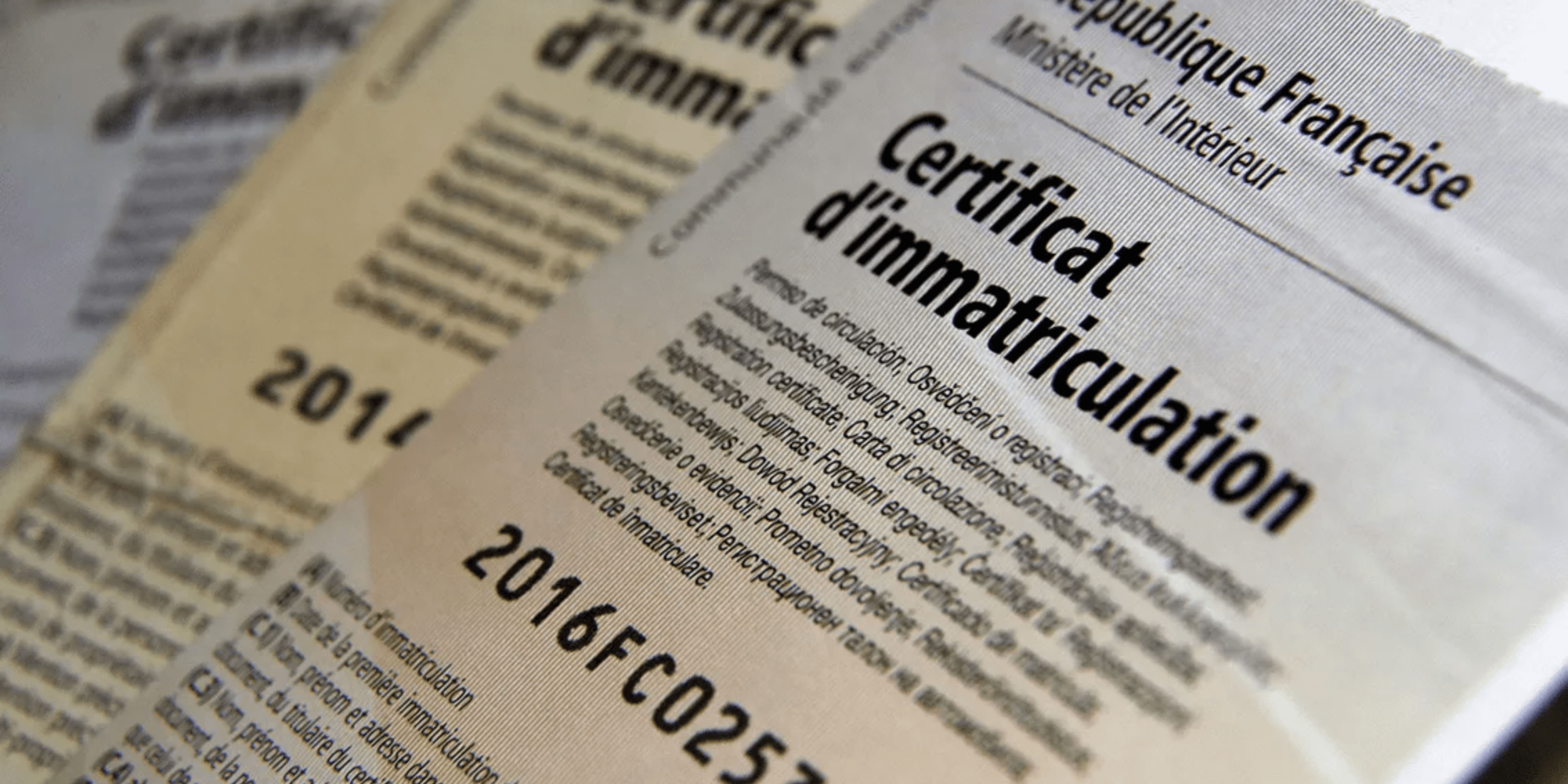 Rachel, personal trainer, looking to the side confidently in a fitness studio