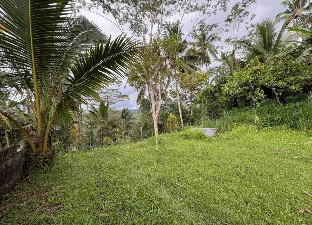 Land plot 4,000 m² in Buahan, Ubud area, Leasehold