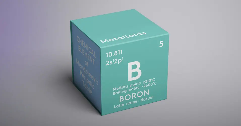 Boron is a trace mineral that supports bone health and hormone regulation.