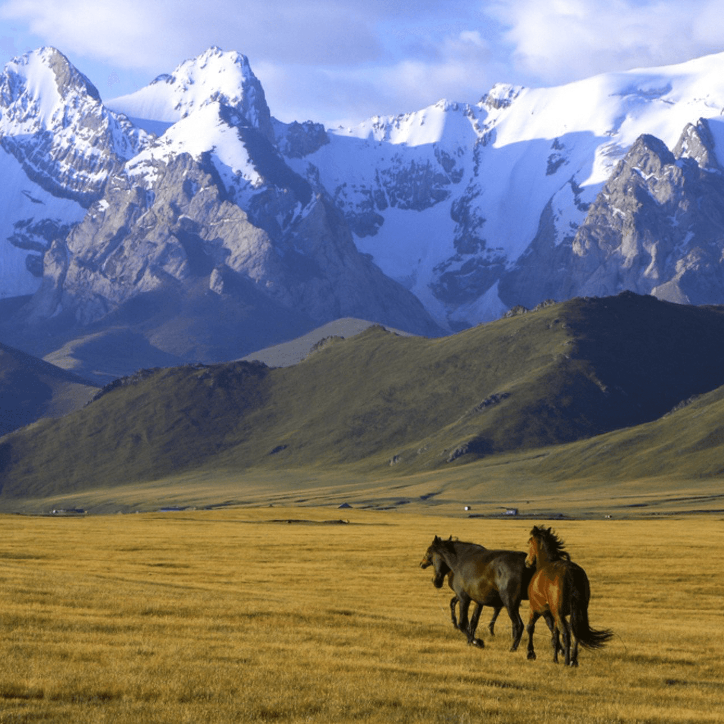 Kyrgyzstan Nature Photo
