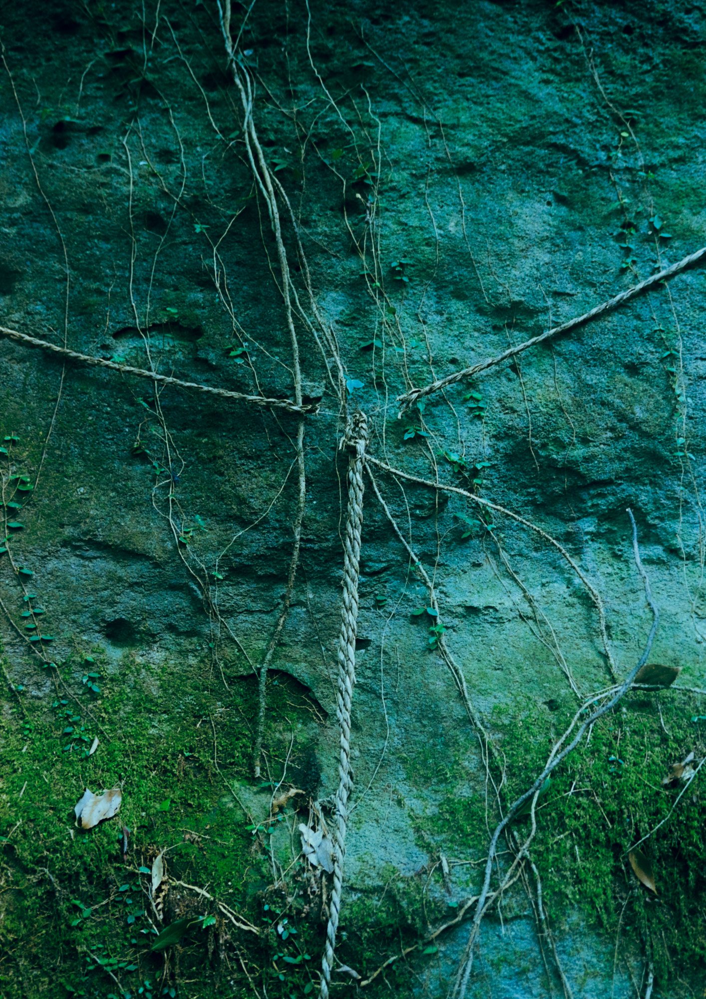 Taisei Matsumoto, 2024 exhibition work 016
