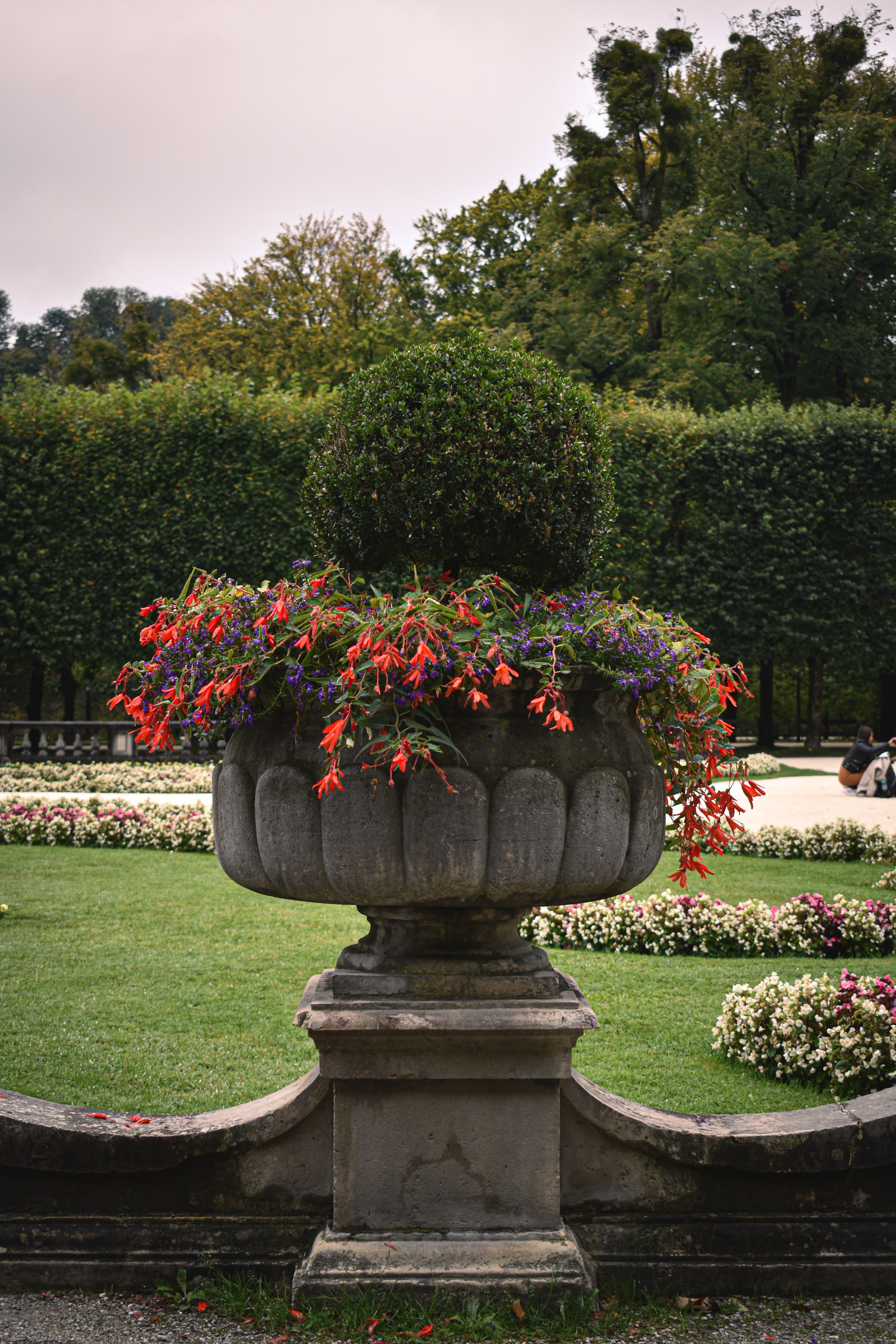 Jardín formal con setos y árboles verticales