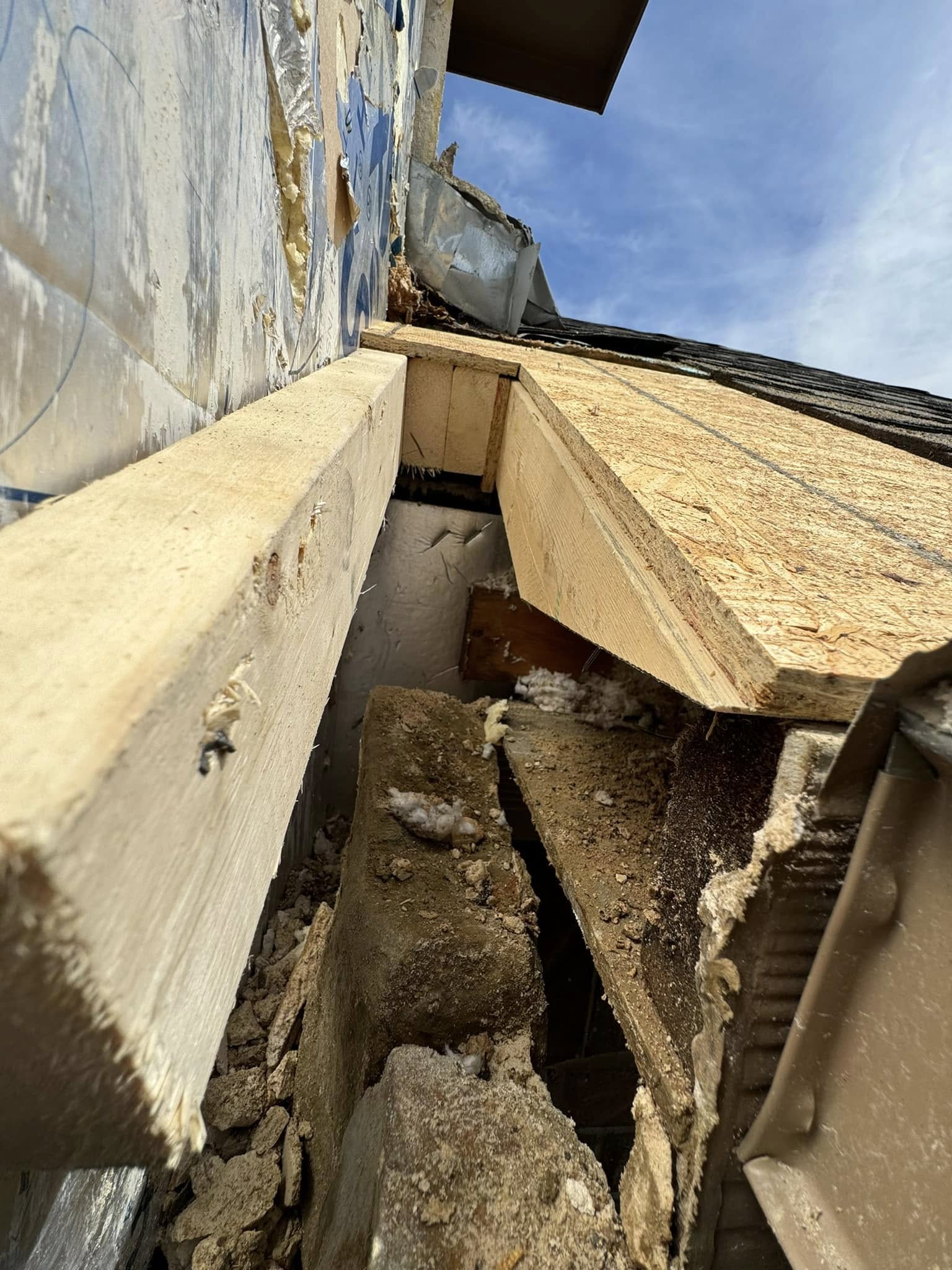a close up of a building with a tree in the background