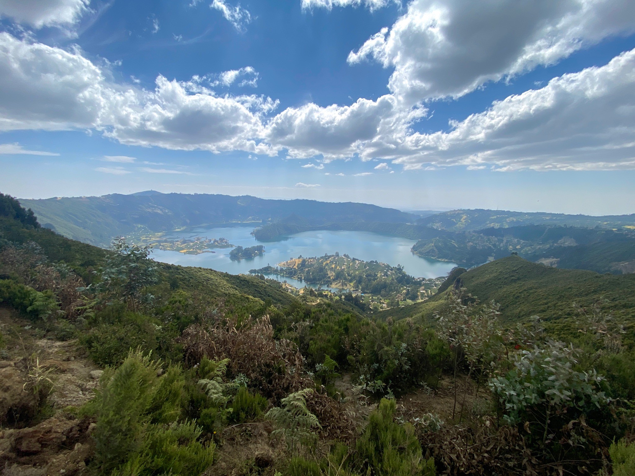 scenery of buildings