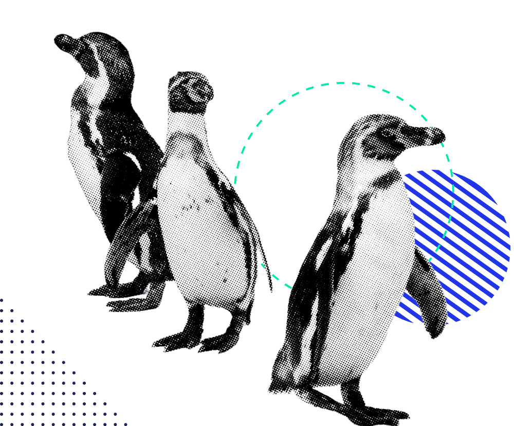 Innovation Zoo