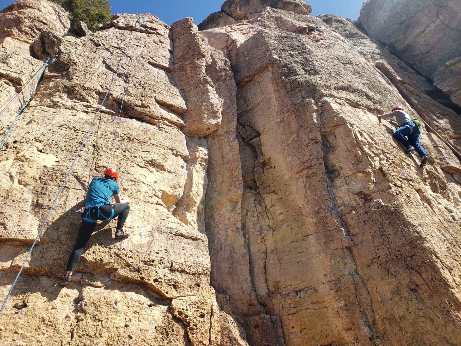 Climbers in the middle of limestone walls at Shelf Road