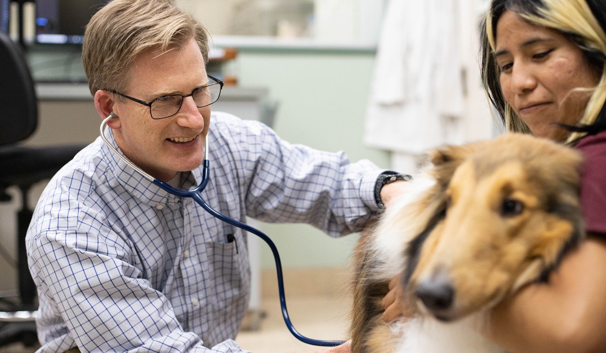 A veterinarian and veterinary technician happily examining a dog