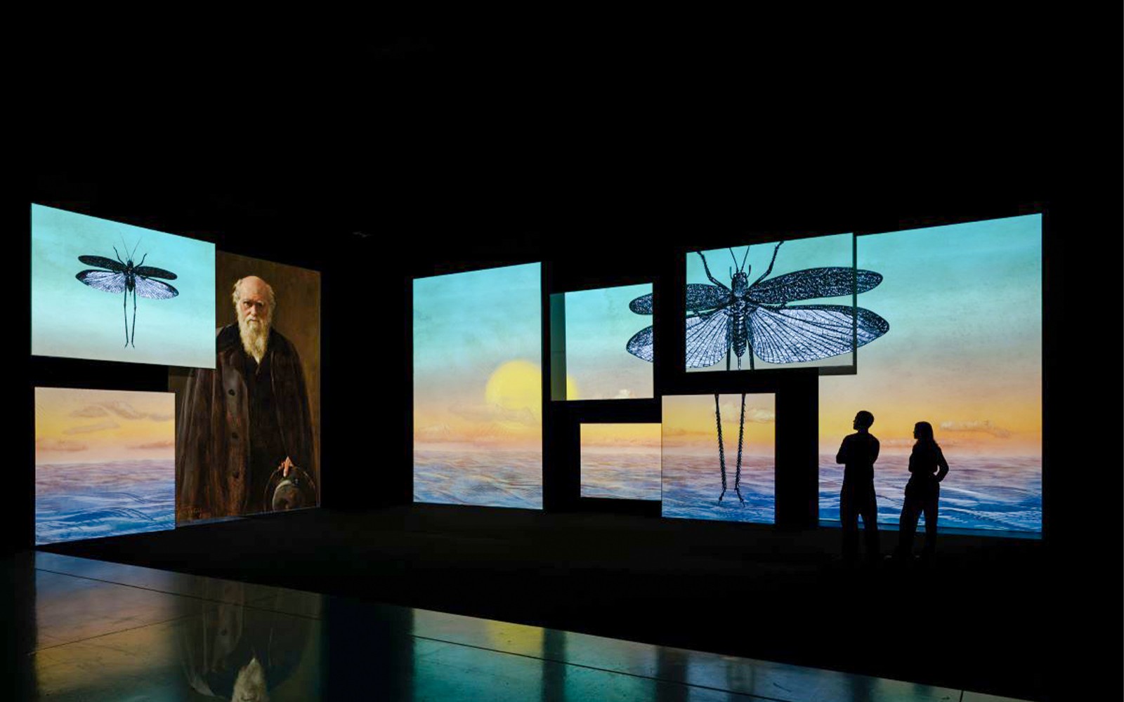 بازدیدکنندگان در حال مشاهده پرتره‌های دیجیتال متنوع در یک گالری مدرن، لندن.