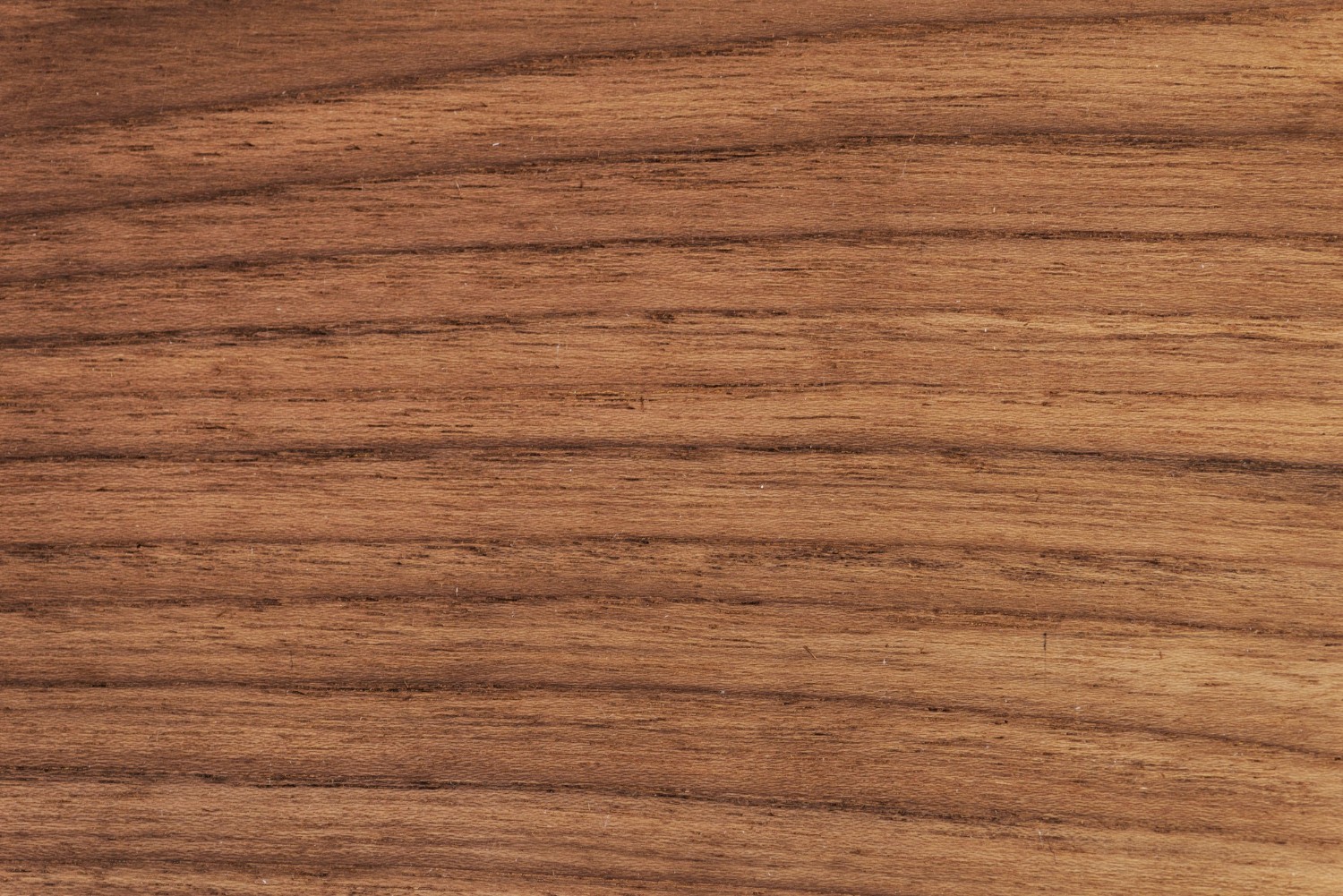 Texture