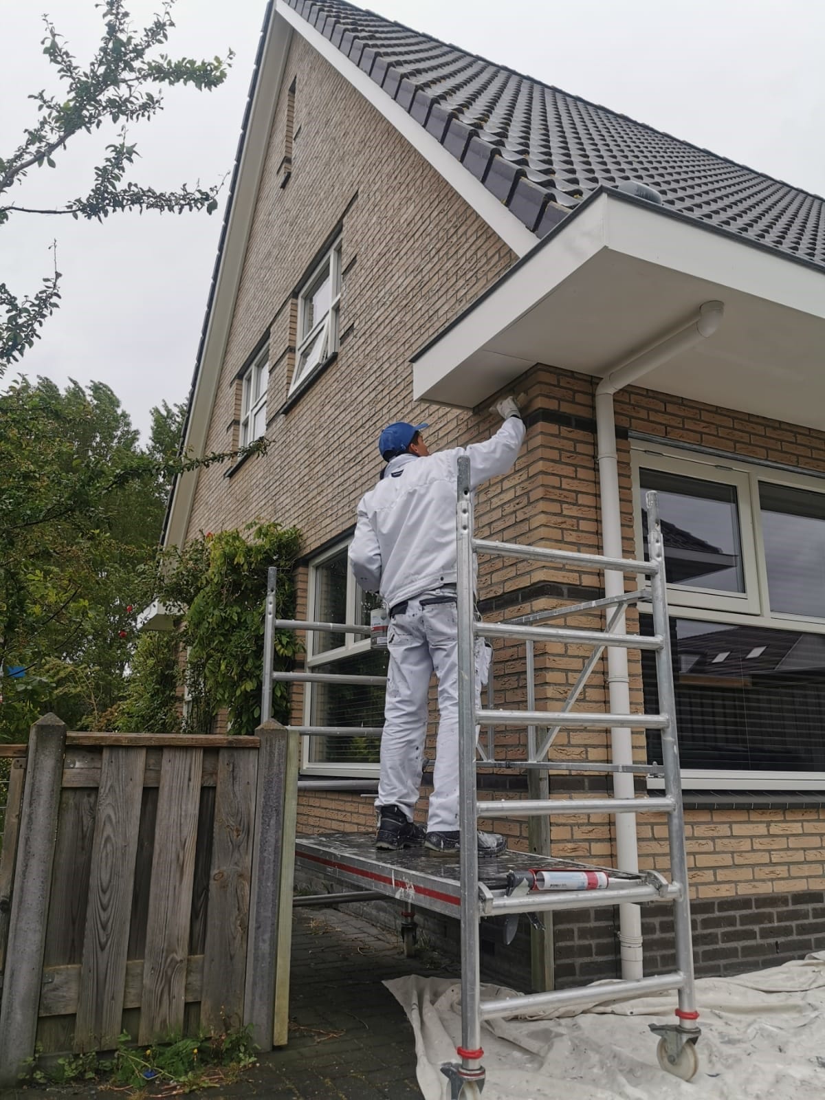 Luxury custom sofa and chairs