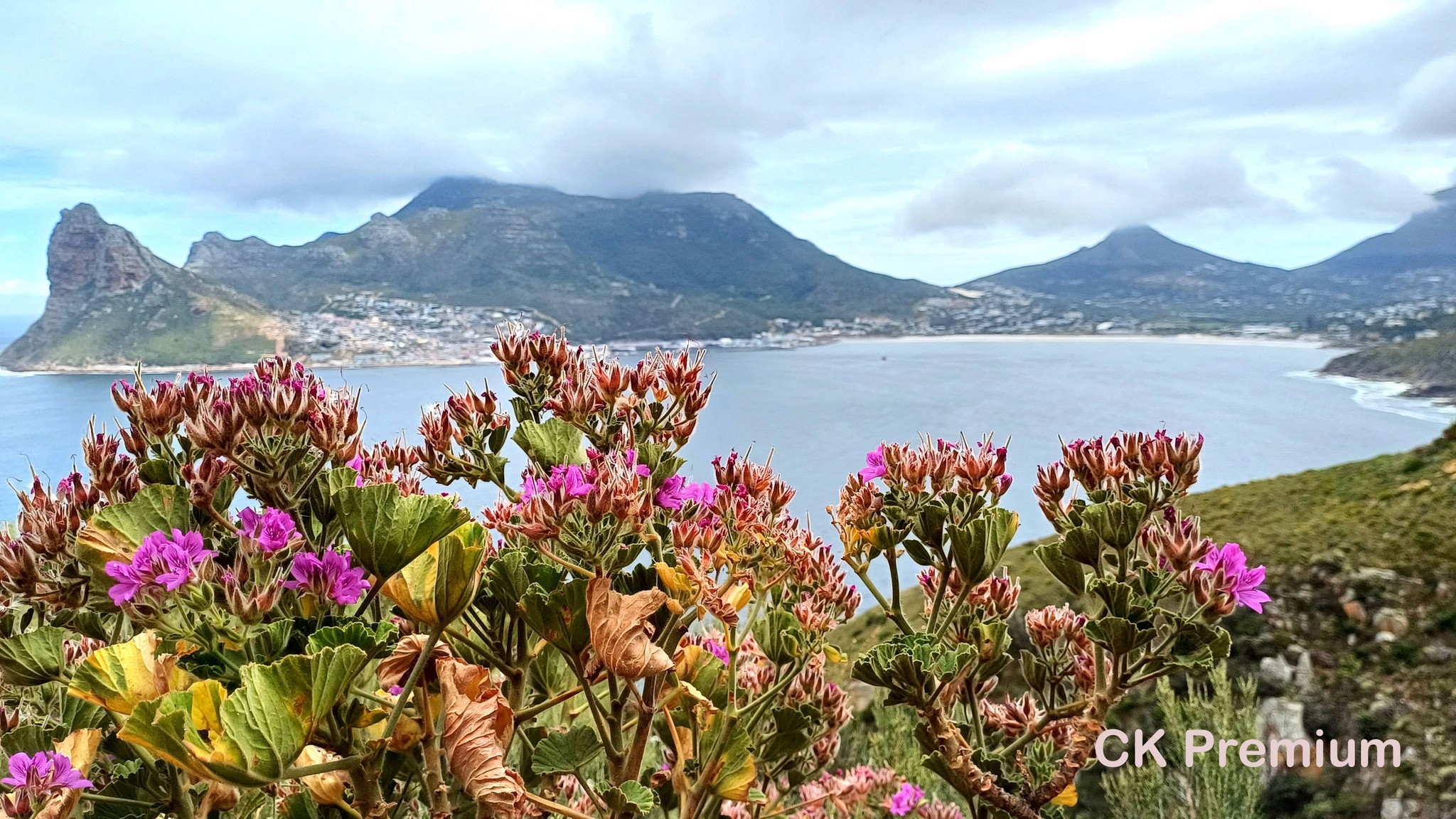 Camps Bay (JAR)