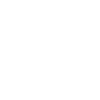 PageSpeed Insights Icon