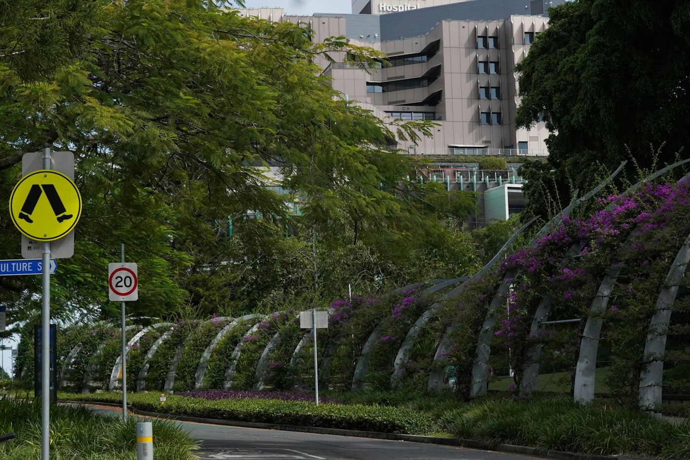 Pedestrian crossing sign beside flowering greenery