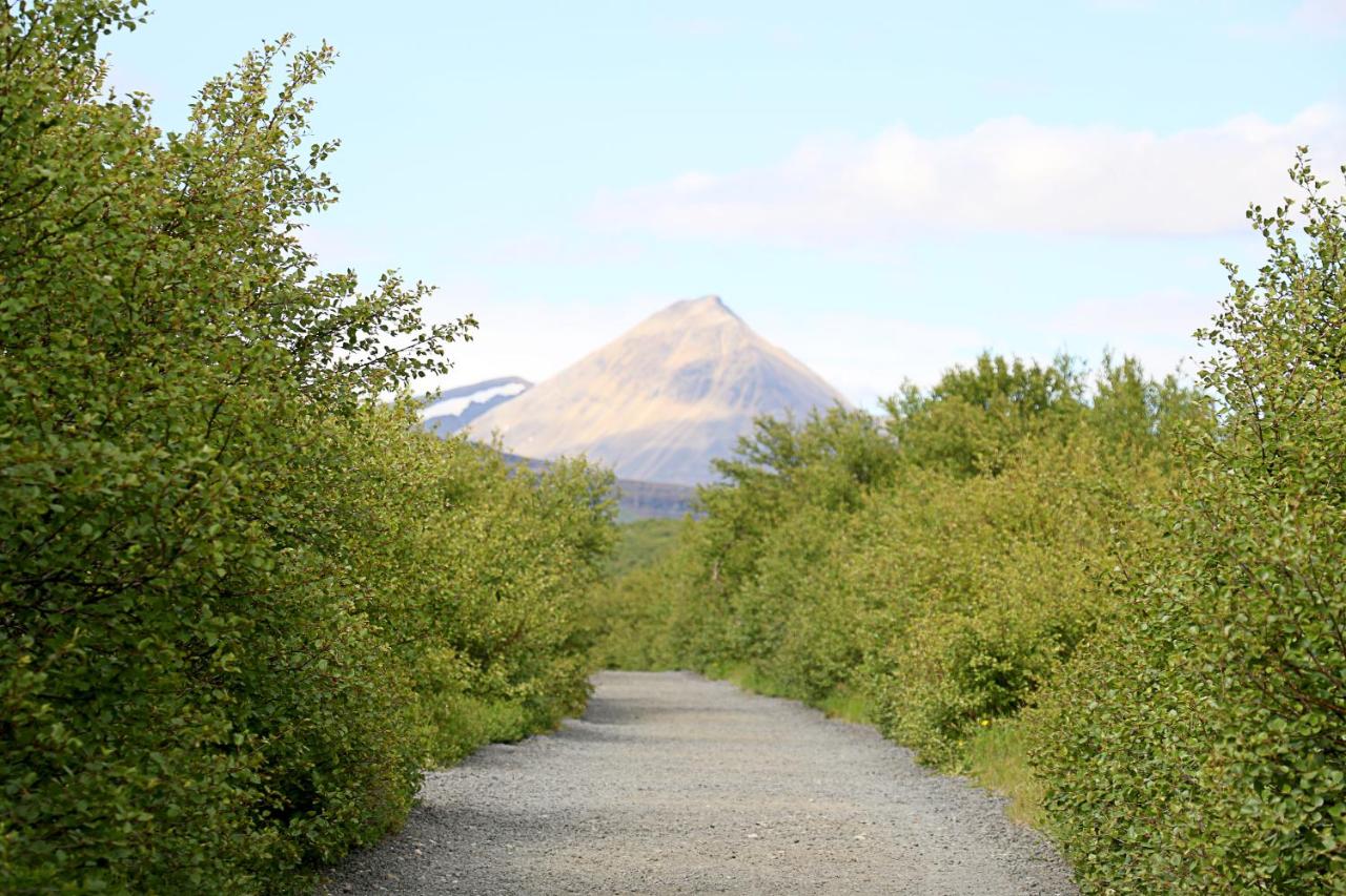Glanni Road at Hotel Bifrost