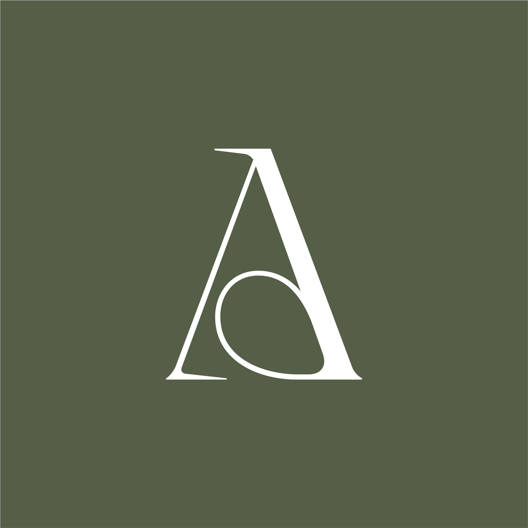 Portrait of a young man with wavy dark hair and a trimmed beard in a white sweater, soft light on a neutral background.