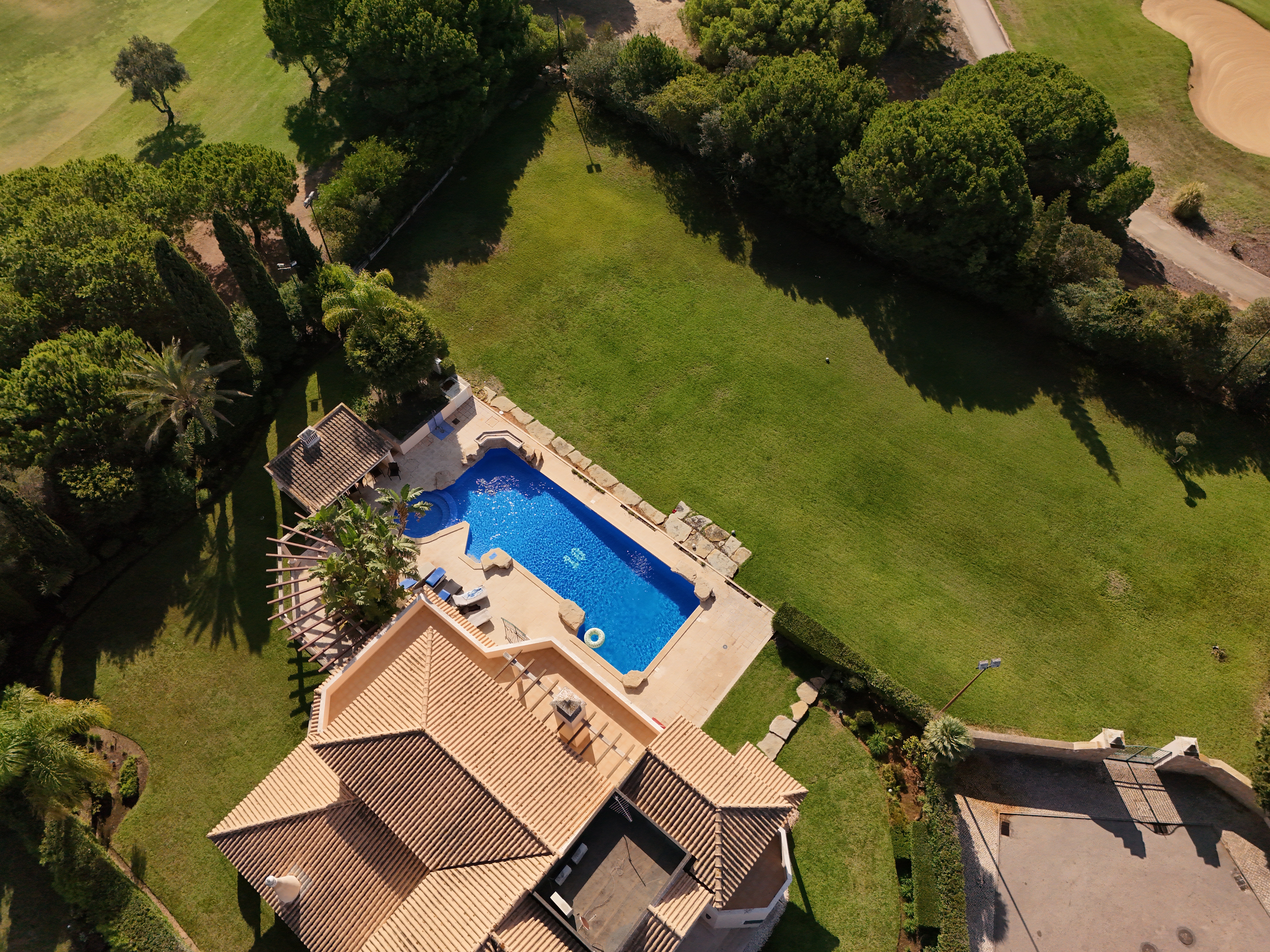 Bird eye view