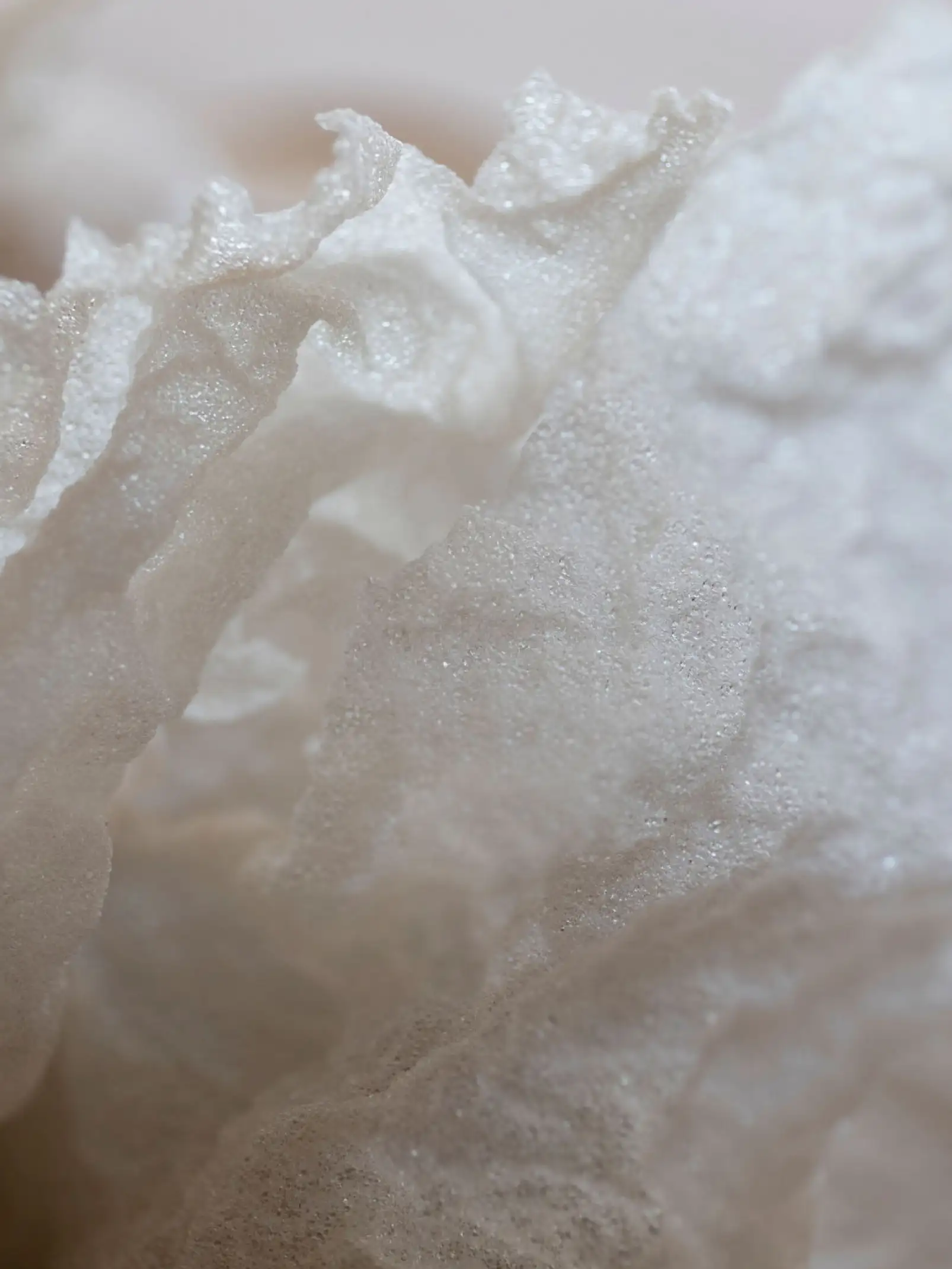 Primer plano de la textura ondulada y delicada de un hongo blanco, con aspecto translúcido y orgánico.