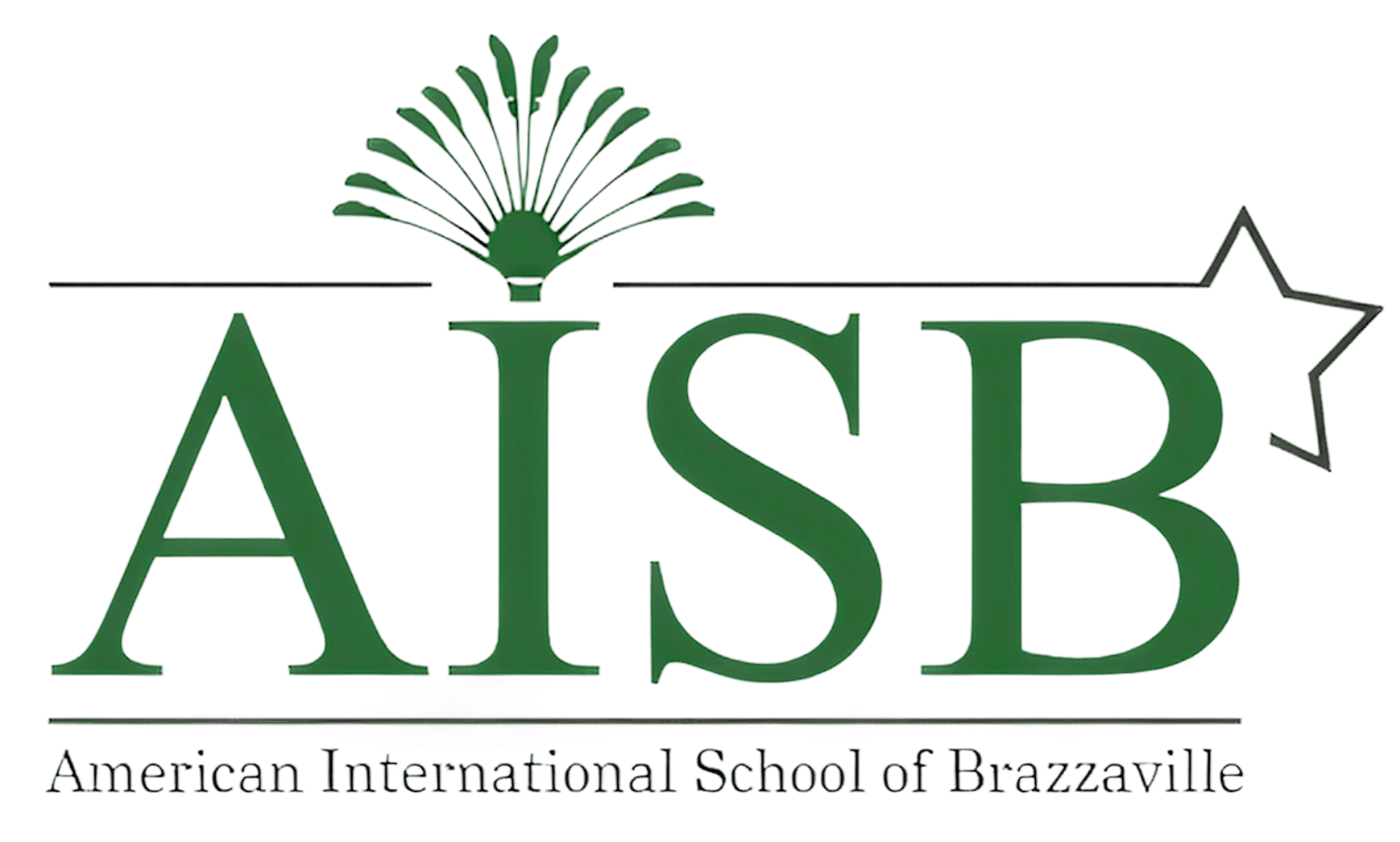 American International School of Brazzaville logo – students have participated in the RISE Research summer program for high schoolers seeking mentorship and research opportunities.