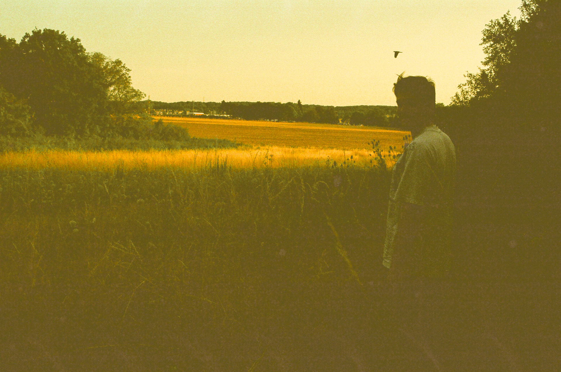 film photography of a man looking back in a field