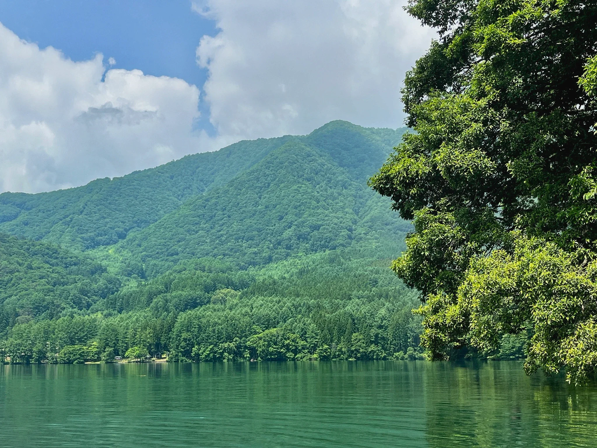 Lush green Hakuba mountains reflect in a calm lake under a partly cloudy sky. 