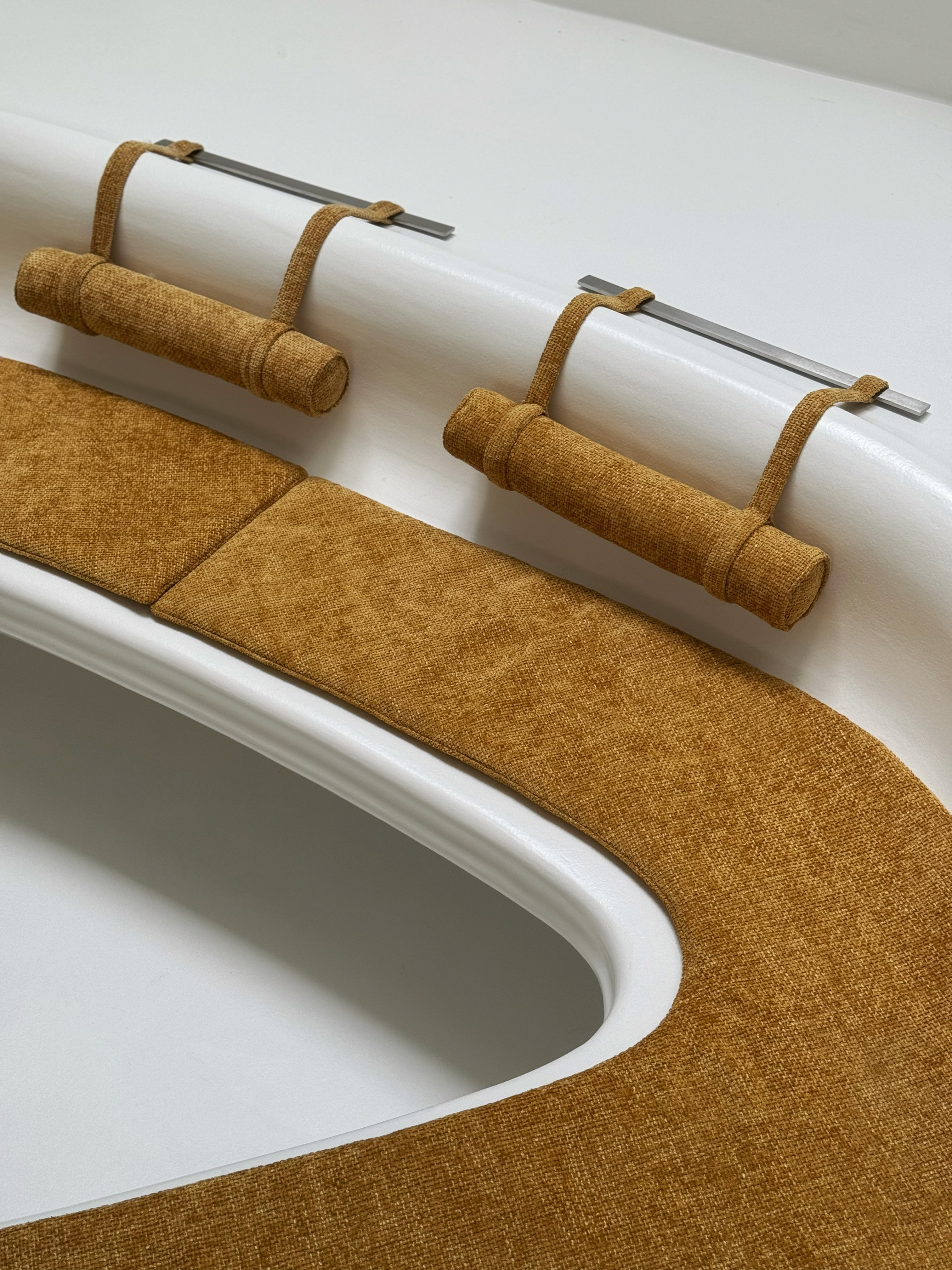 Arya-Safavi-Collaboration