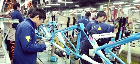 Bicycle & Sports Equipment