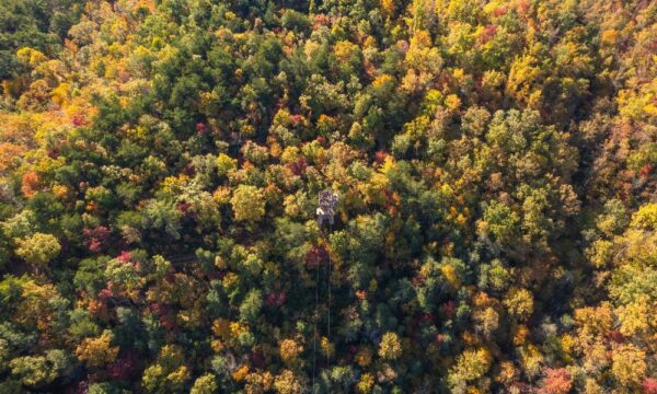 Aerial view of a climb works platform surrounded by fall foliage.