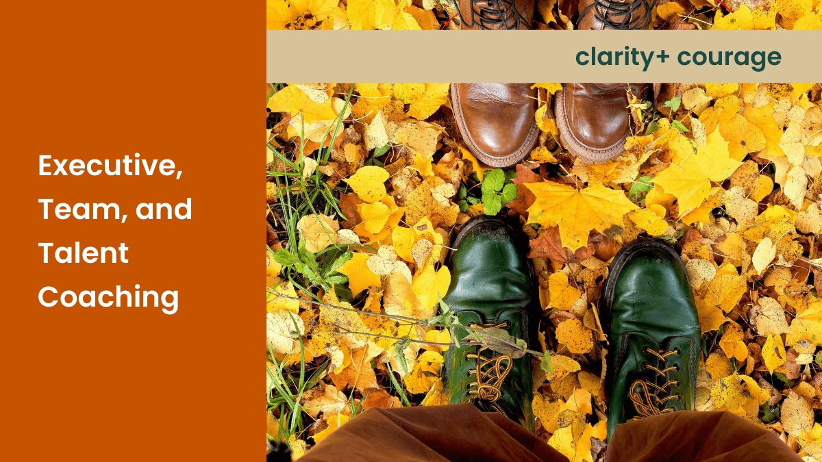 Adventure picture of hiking in the forest that says Executive Team and Talent Coaching with the caption clarity plus courage