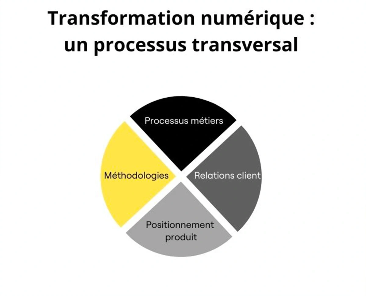 transformation numérique processus transversal