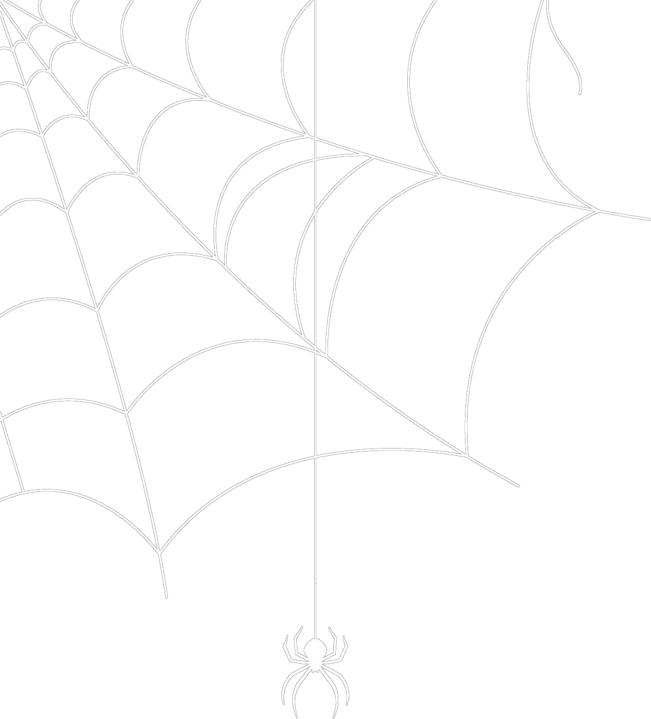 Spider web