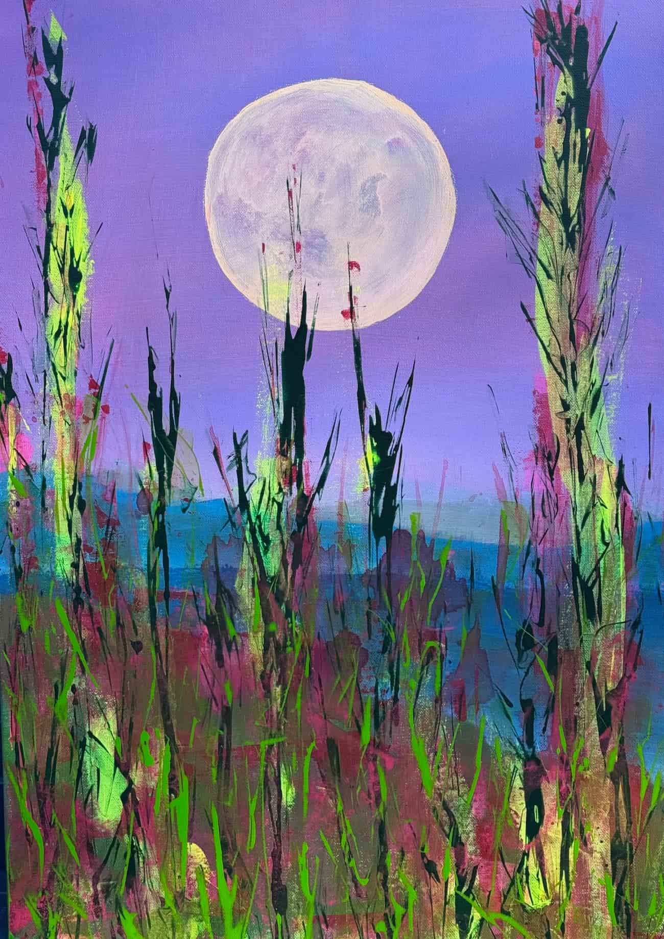 Bild konnte nicht geladen werden