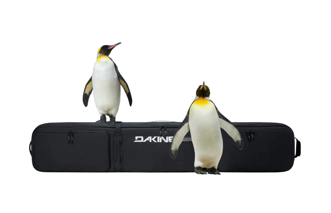 Vancouver storage deals for $35
