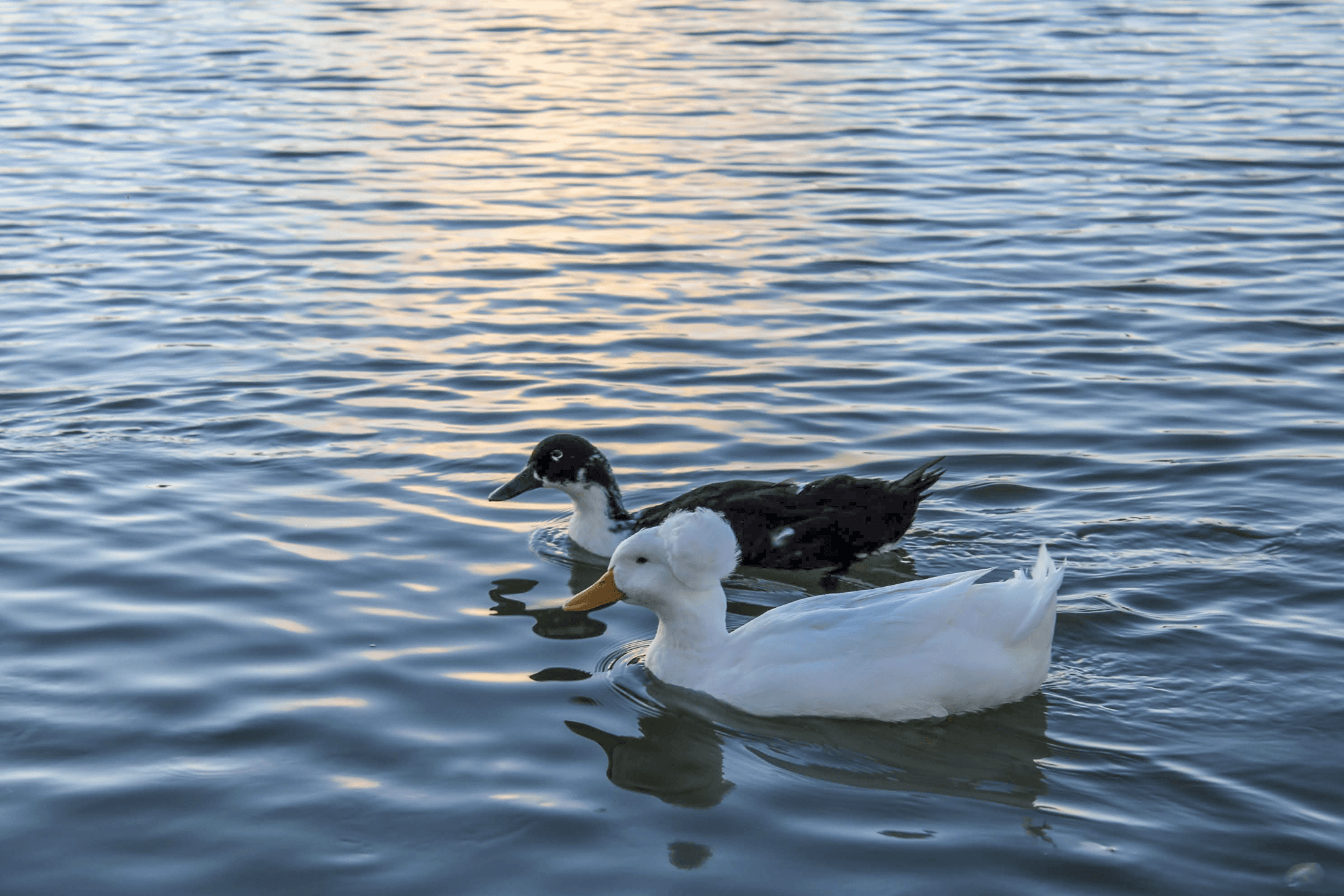 a person standing in front of a building