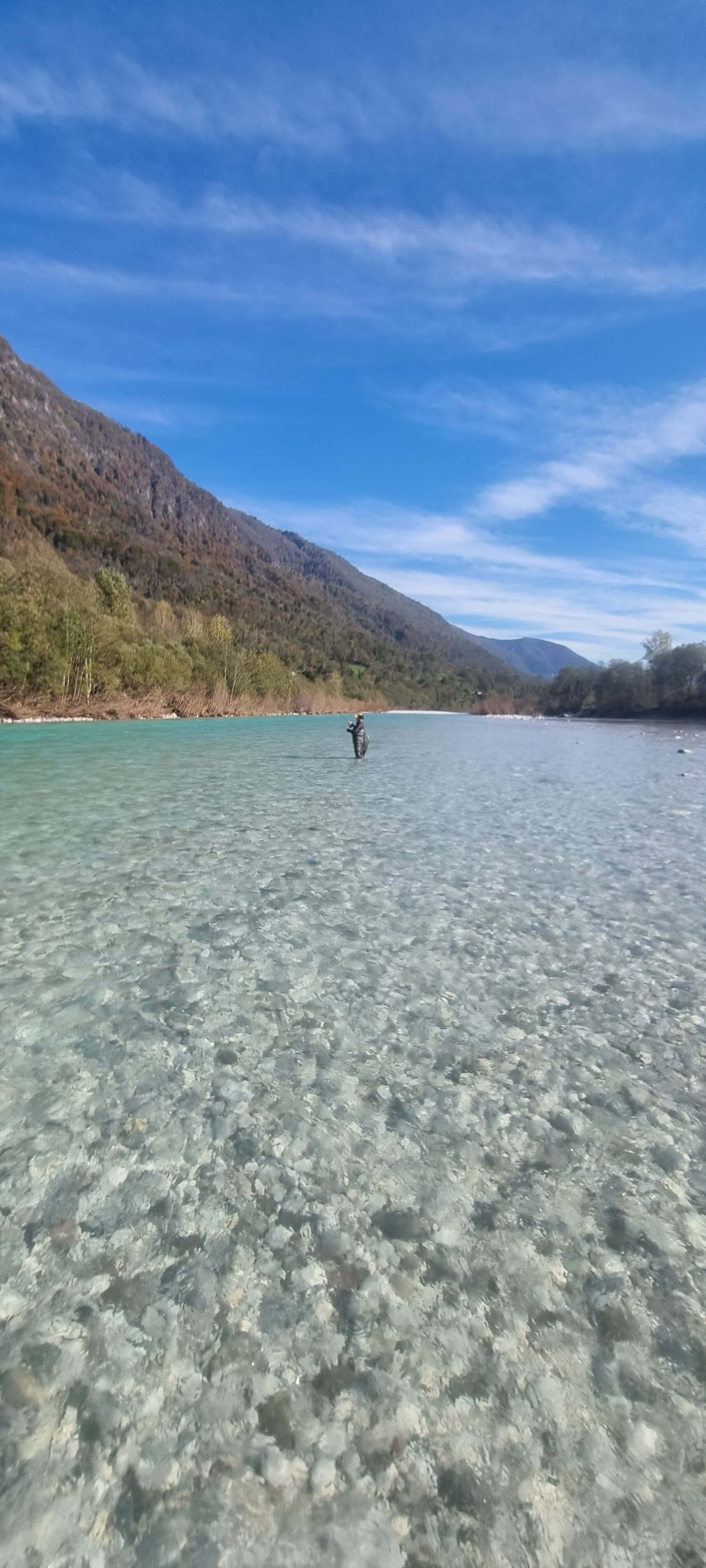 Angler sight fishing for grayling in shallow riffles of the Idrija River Slovenia