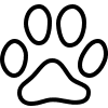 Hand Image