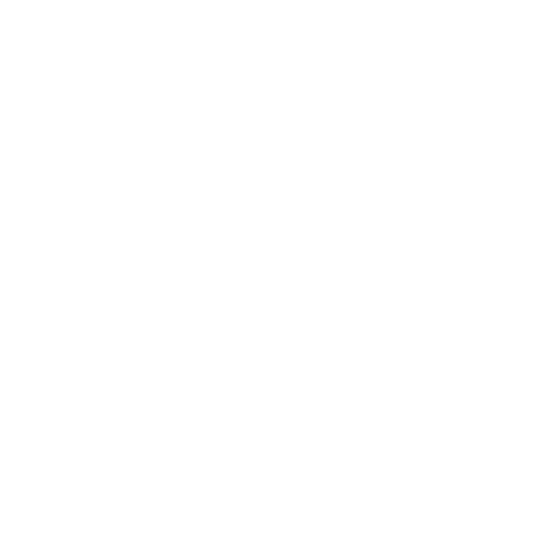 Logoipsum horizontal logo with a circular geometric icon.
