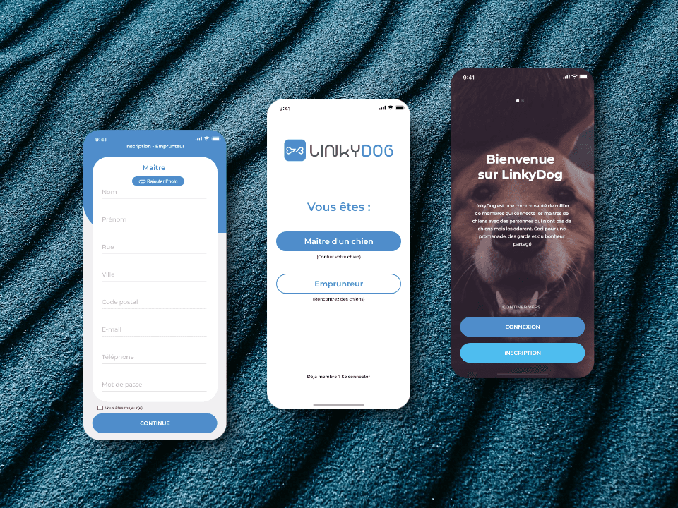 Représentation de l'application LinkyDog : pages d'accueil, de connexion et d'inscription