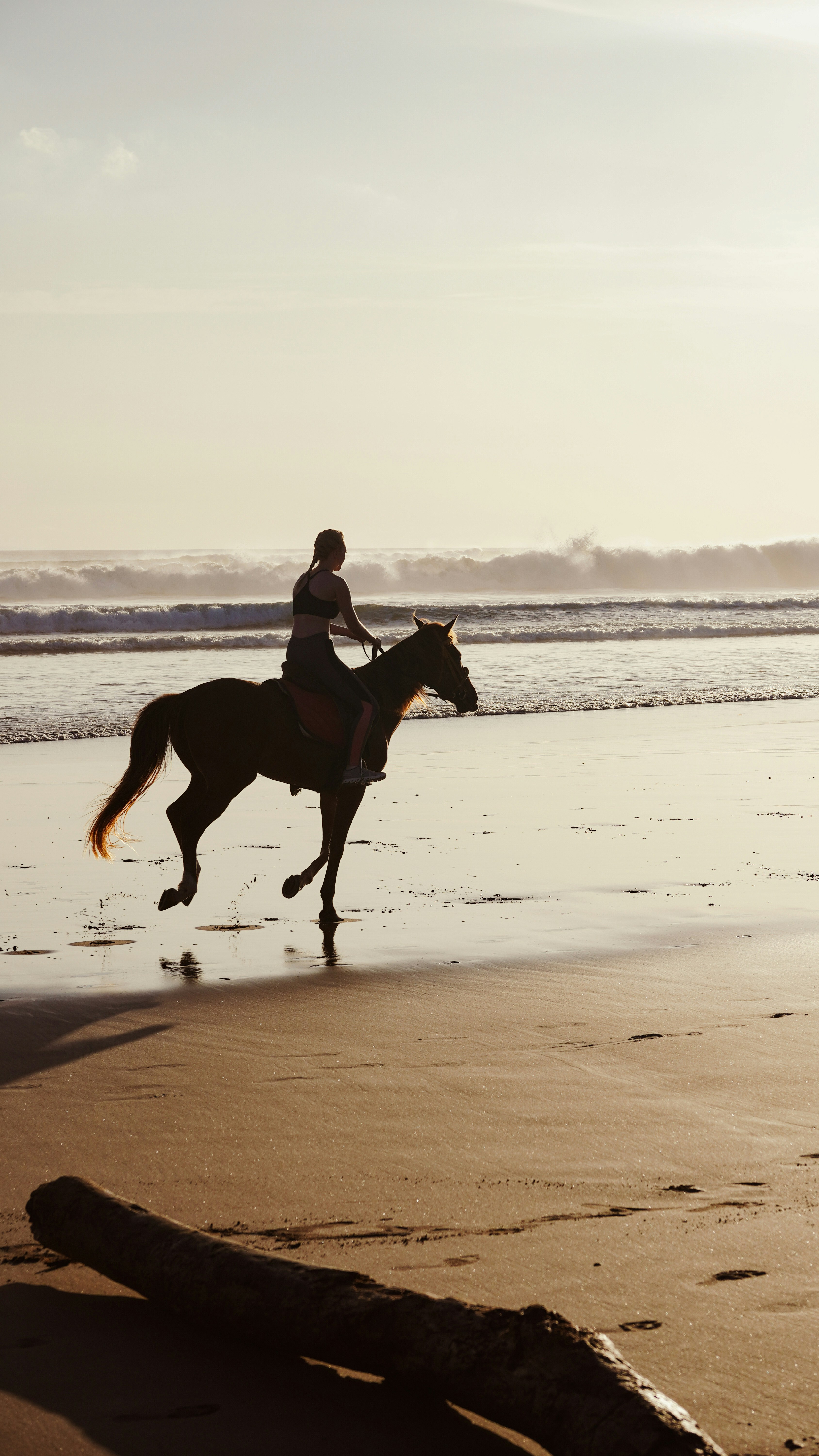 Rider on horseback galloping on a beach at sunset.