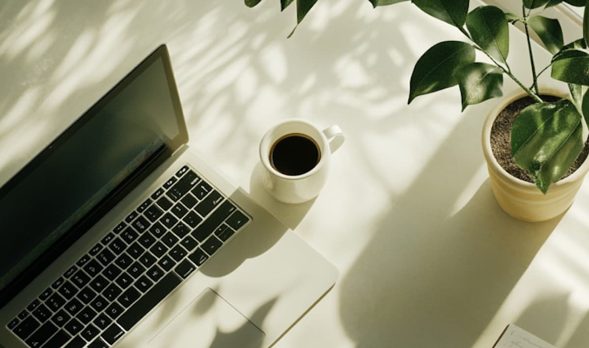 Desk with laptop, coffee cup and plant in dappled lighting