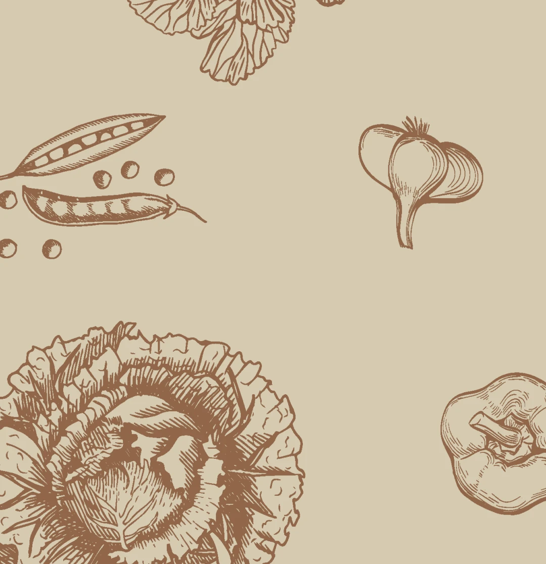 Pattern d'illustrations botaniques de légumes sur fond beige sable — motif graphique de l'identité visuelle du Primeur des Terroirs, marché bio local en Occitanie, par Tartelette Concept